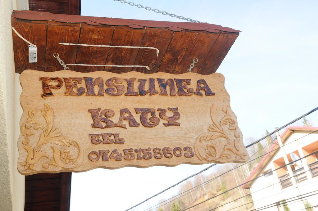 Casa Andu Otel Dîmbovicioara Dış mekan fotoğraf