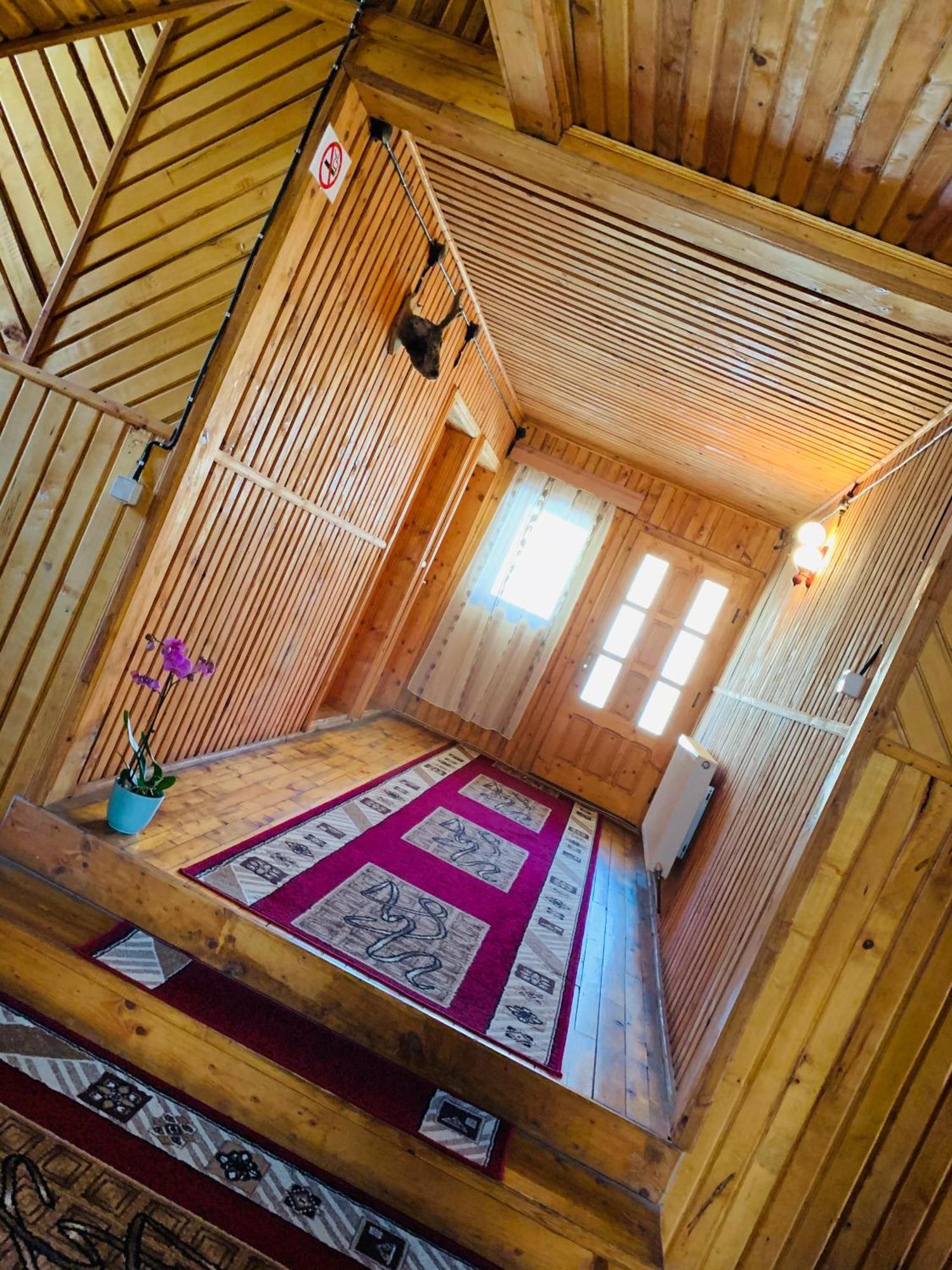 Casa Andu Otel Dîmbovicioara Dış mekan fotoğraf