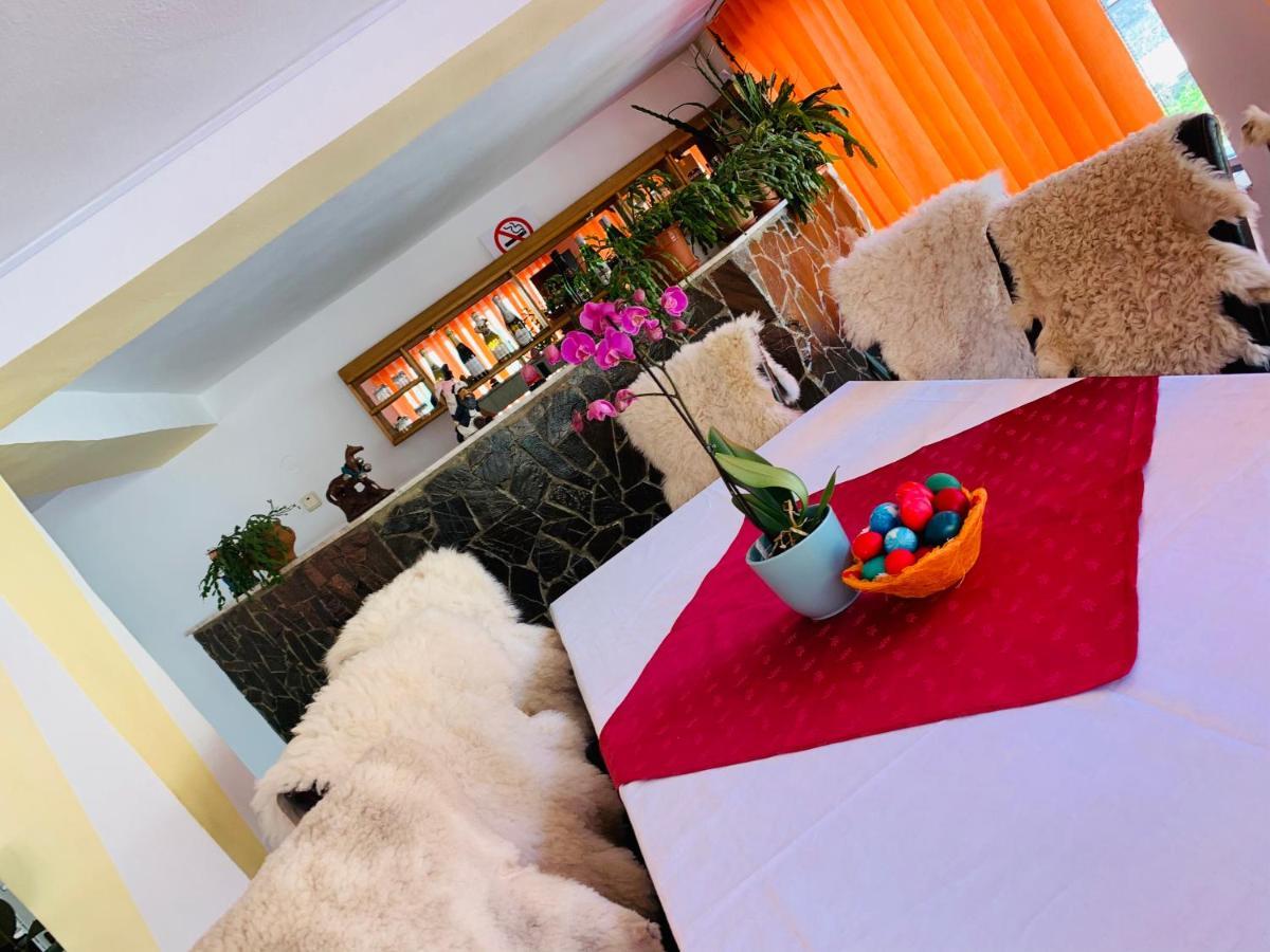 Casa Andu Otel Dîmbovicioara Dış mekan fotoğraf