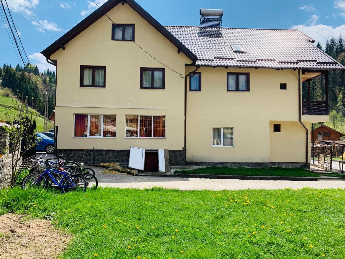 Casa Andu Otel Dîmbovicioara Dış mekan fotoğraf