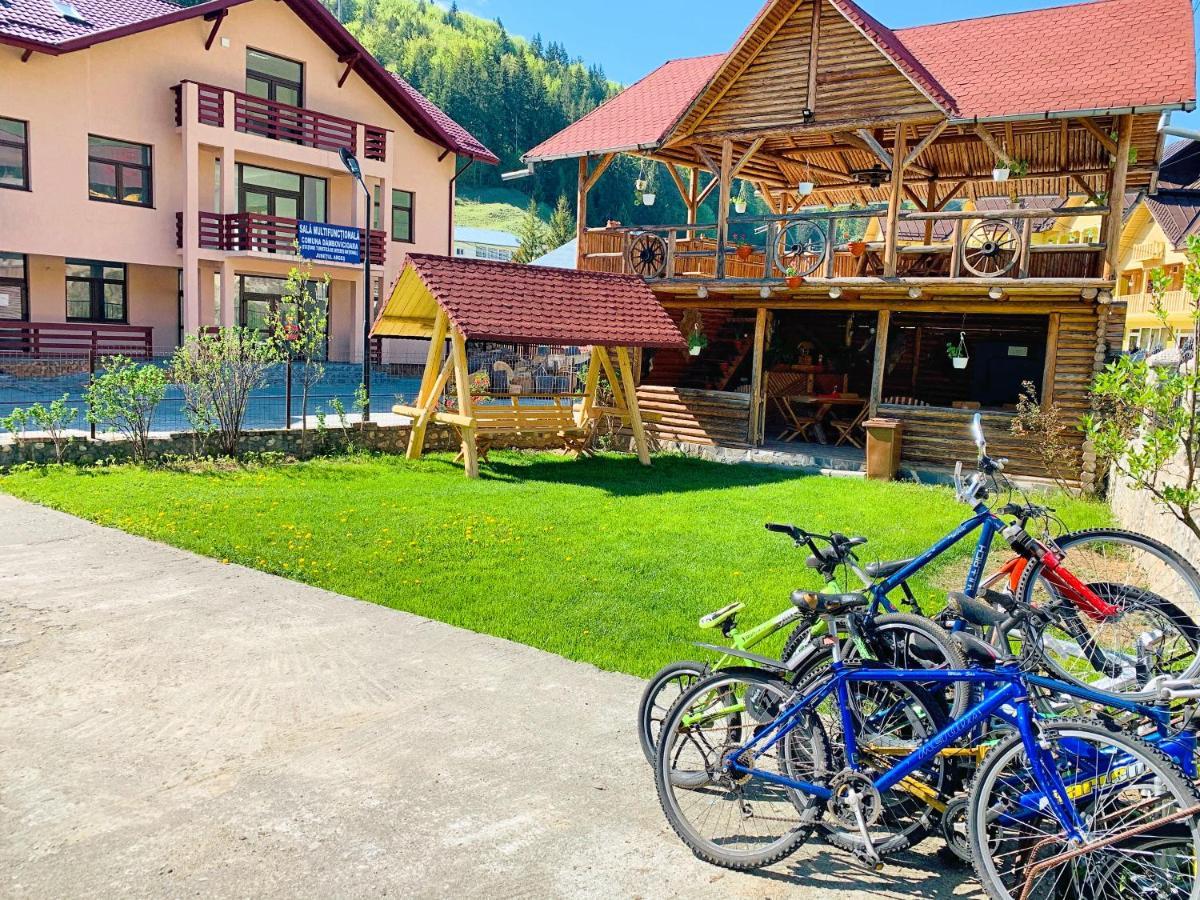 Casa Andu Otel Dîmbovicioara Dış mekan fotoğraf