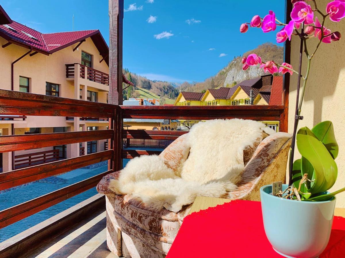 Casa Andu Otel Dîmbovicioara Dış mekan fotoğraf
