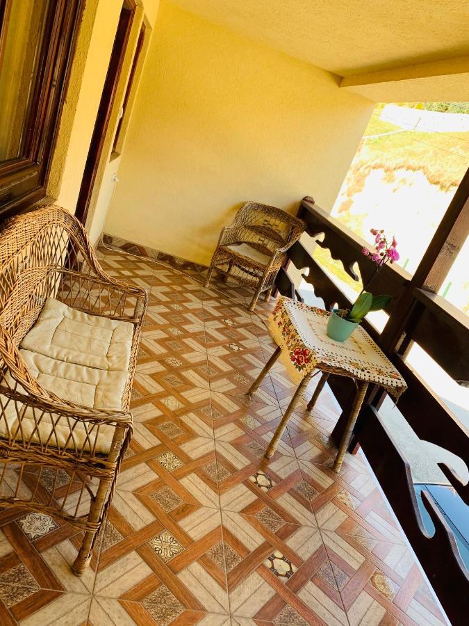 Casa Andu Otel Dîmbovicioara Dış mekan fotoğraf