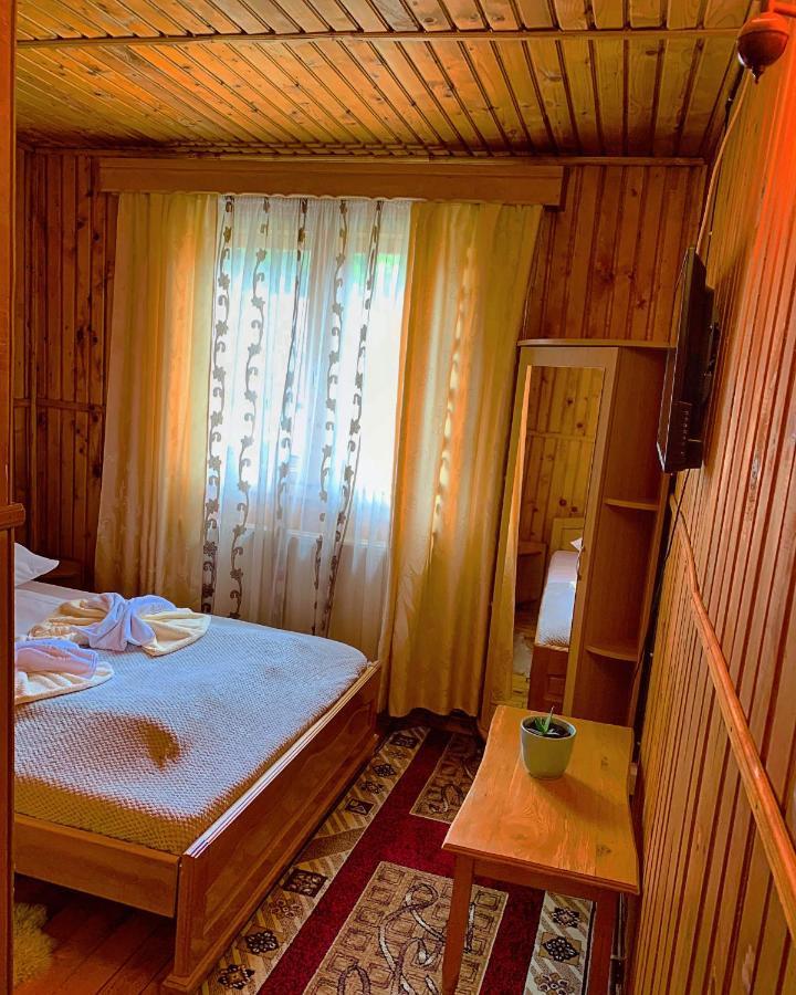 Casa Andu Otel Dîmbovicioara Dış mekan fotoğraf