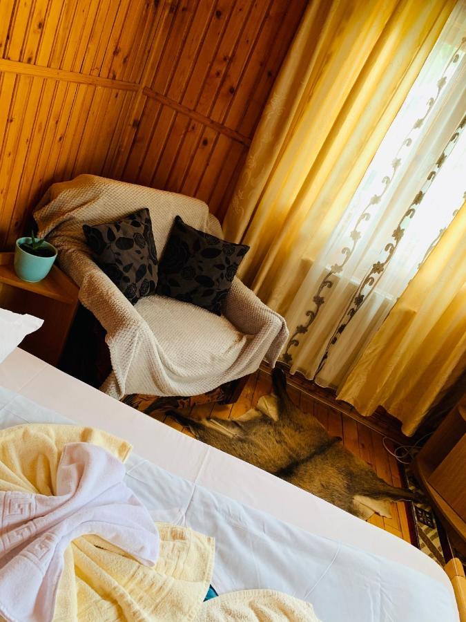 Casa Andu Otel Dîmbovicioara Dış mekan fotoğraf
